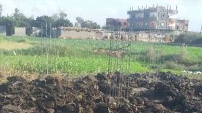 خلافات قديمة.. الداخلية تكشف ملابسات العثورعلى جثة مزارع بالشرقية وتضبط مرتكب الواقعة 