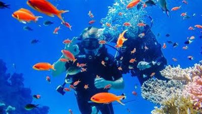 مدينة دهب بجنوب سيناء أجمل مدن العالم لممارسة رياضة الغطس