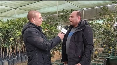 تُصدر بـ 10 ملايين دولار.. قرية بتبس بالمنوفية رائدة إنتاج شتلات الفاكهة والحلويات | فيديو