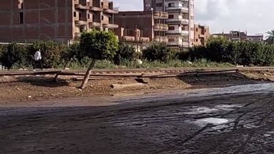 بعد تعليق الدراسة بسبب الأمطار.. طقس مشمس على الغربية وكفر الشيخ | بث مباشر 