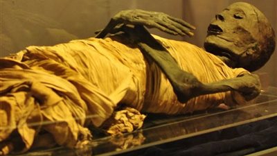 التحقيق في العثور على مومياء أثرية بأحد الشوارع بأسوان