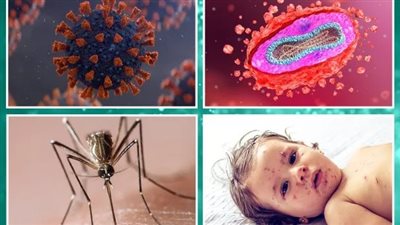 أبرزها جدري القرود وحمى الضنك.. حصاد الوضع الوبائي لعام 2023