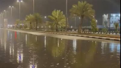 وصلت للسيول.. أمطار غزيرة تضرب بعض المناطق في السعودية | فيديو