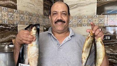 سي فود الفقراء والأغنياء.. الملوحة الأكلة المفضلة لأهالي الأقصر: بتلم العيلة