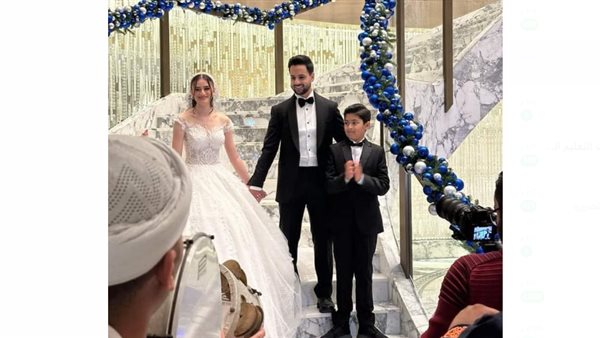 المستشار أحمد عبد