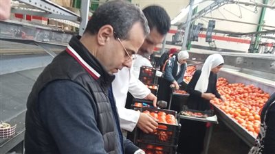 الزراعة: نمتلك خططًا لزيادة منتجات الموالح في الأسواق العالمية تزامنًا مع بداية موسم التصدير