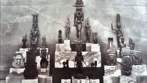 صورة نادرة للقطع