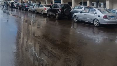 استمرار هطول الأمطار على مناطق متفرقة بالإسكندرية | صور
