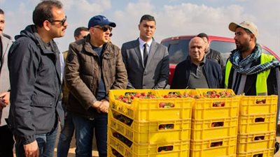 الري: تجربة الزراعة باستخدام مياه ذات ملوحة أعلى من المعتاد في مزرعة جهاز مستقبل مصر