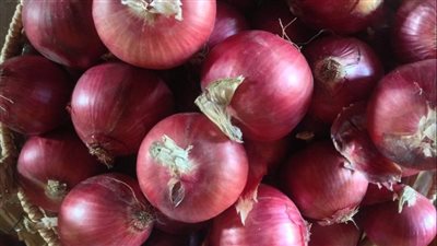 الكيلو بـ 18 جنيها.. انخفاض سعر البصل اليوم بأسواق الخضار في أسيوط | بث مباشر