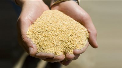 غرفة الصناعات الغذائية تناقش تحديات قطاع الأعلاف