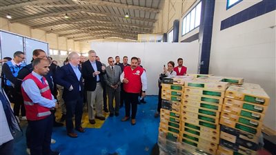 وفد الكونجرس الأمريكي يتفقد المساعدات الخاصة بغزة في مخازن العريش