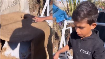 صغير فلسطيني يصنع فرنًا لتحضير الخبز في المخيمات: هجّرونا من بيوتنا فاضطرينا نبني واحد جديد عشان نخبز عليه