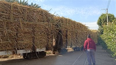 بتر قدمي مُسن صدمه قطار قصب في قنا 