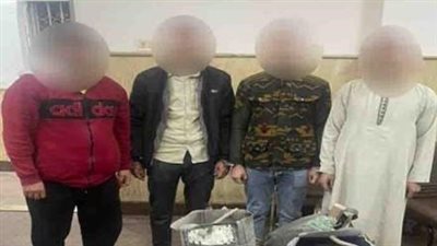 ضبط 4 أشخاص لاتهامهم بالحفر والتنقيب عن الآثار بحلوان