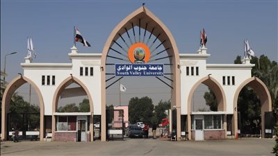 بعد تعطيل الدراسة والامتحانات.. هل حدثت خسائر بـ جنوب الوادي بسبب سوء الأحوال الجوية؟.. رئيس الجامعة يجيب