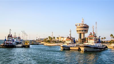 ميناء دمياط يستقبل 7 سفن تجارية متنوعة اليوم