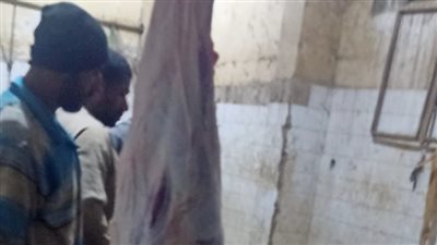 ضبط 300 كيلو جرام لحوم مجهولة المصدر في قنا