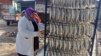  ضبط 3 أطنان رنجة فاسدة داخل 3 مصانع بالغربية قبل طرحها بالأسواق