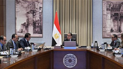  الحكومة: مصر من الدول الأكثر تضررًا بمرض الثلاسيميا