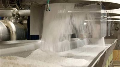 السكر الخام يسجل أعلى مستوى في 3 أسابيع مدفوعًا بتعافي السوق بعد تسويات أكتوبر