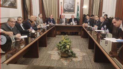 حتى ولو تغيب يمامة.. عليا الوفد تجتمع الأحد المقبل لبحث تطورات الفيديوهات المسيئة للحزب