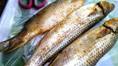 وجبة فسيخ سامة.. إصابة فتاة في العقد الثالث من العمر بتسمم غذائي ببورسعيد