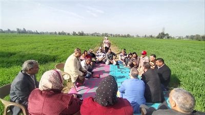 الزراعة: الفرق الإرشادية الريفية تنفذ أنشطتها على المحاصيل الشتوية في 13 محافظة