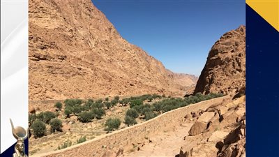 متحف مطار القاهرة الدولي يلقي الضوء على محمية سانت كاترين بجنوب سيناء