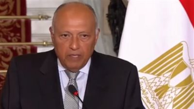 وزير الخارجية: نطالب بوقف إطلاق النار في غزة.. ونحذر من توسيع رقعة الصراع | بث مباشر