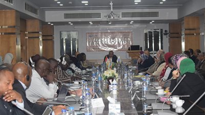 المركزي للإحصاء ينظم برنامجًا تدريبيًا لـ الأفارقة حول آلية متابعة مؤشرات أهداف التنمية المستدامة 