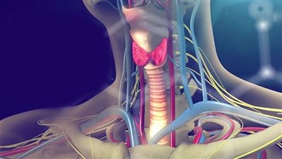 باحثون: أمل جديد لعلاج نوع نادر من سرطان الغدة الدرقية