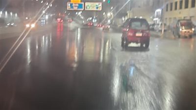 أمطار خفيفة تضرب الإسكندرية تزامنًا مع نوة الفيضة الكبرى