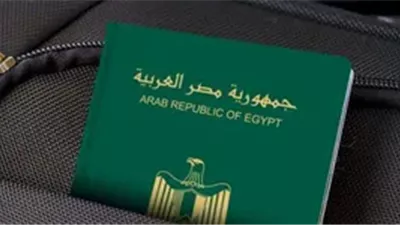 وزير الداخلية يقرر رد الجنسية لـ 24 مواطنًا | أسماء