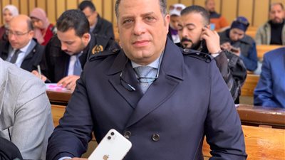 جايب تليفونها معايا.. وصول محامي الفتاة المقتولة على يد شقيقها لمحكمة الجنايات لحضور ثاني الجلسات