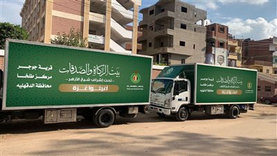 قرية بالدقهلية تتبرع بـ6 شاحنات إغاثية لغزة.. والأزهر: مبادرة تنم عن أصالة المصريين