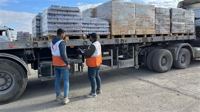 الجيش الإسرائيلي: دخول 5 شاحنات محملة بمساعدات إلى غزة