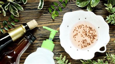 جربيها بسرعة.. كيفية القضاء على الهاموش بدون مبيدات بطريقة طبيعية.. اتبع تعليمات النظافة أولا