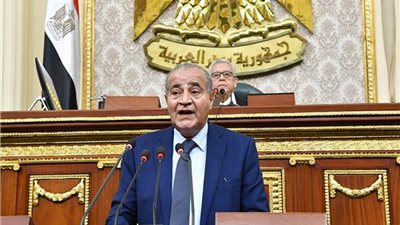 نواب لوزير التموين: فين السكر والرز؟.. ولا نملك إلا الدعاء بسبب الأسعار