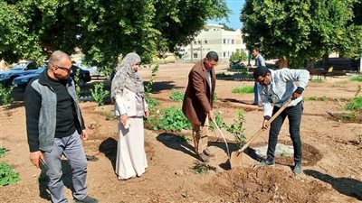 محافظ أسيوط: زراعة شتلات بمركز البداري ضمن مبادرة زراعة 100 مليون شجرة