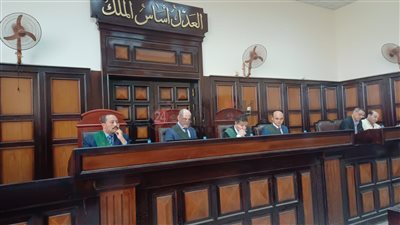 رفض الزواج من ابنته.. السجن المؤبد لعامل أنهى حياة فلاح بأسيوط