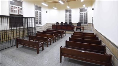 استولى على 4 ملايين جنيه.. استئناف مستريح الأدوات الصحية على حبسه 3 سنوات