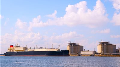 ميناء دمياط يشهد تصدير 898 حاوية مكافئة بإجمالي بضائع 11 ألف طن 