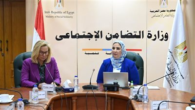 مصر تطالب الأمم المتحدة بالسماح بزيادة تمرير عدد الشاحنات إلى غزة