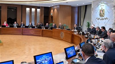 مجلس الوزراء يكشف تفاصيل إنشاء أكبر مشروع لإنتاج طاقة الرياح بالشرق الأوسط في مصر 