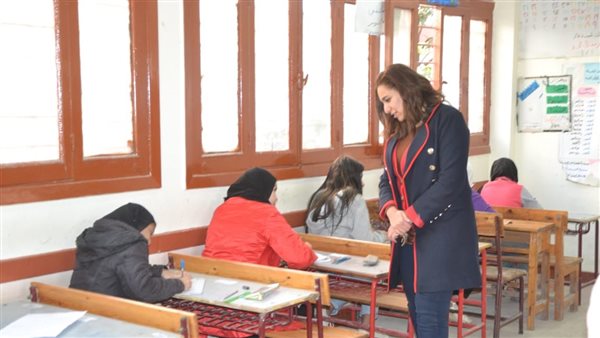 نائب محافظ البحيرة