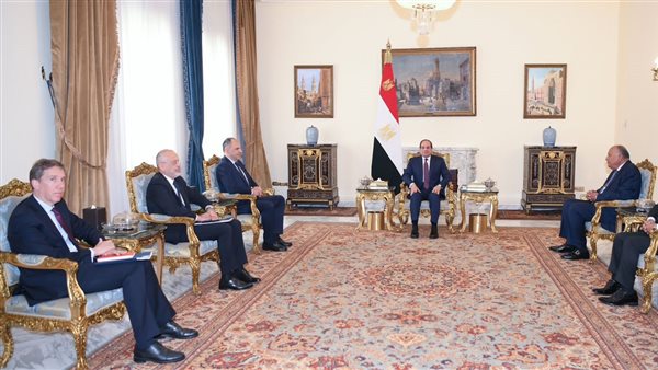 السيسي ووزير خارجية