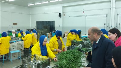 وزارة العمل تنظم جولة تفقدية لأحد المصانع للتأكد من تطبيق أحكام القانون بالإسماعيلية