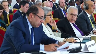 الجامعة العربية تشارك في القمة الاستثنائية للإيجاد