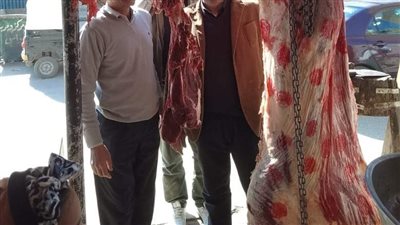 تموين المنيا: ضبط 150 مخالفة متنوعة خلال حملات على المخابز البلدية والأسواق